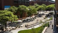 Haven Campus Overhead